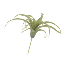 Simulation Artificial Air Plant Plastic Greenery Succulents-2