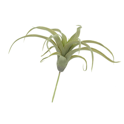 Simulation Artificial Air Plant Plastic Greenery Succulents-2
