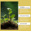 Plant Nutrient Solution Universal Plant Promotes Growth Nutrient 6