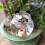 Practical Panda Themed Plant Watering Device With 500ML-2 5