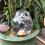 Practical Panda Themed Plant Watering Device With 500ML-2 6