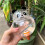 Practical Panda Themed Plant Watering Device With 500ML-2 7
