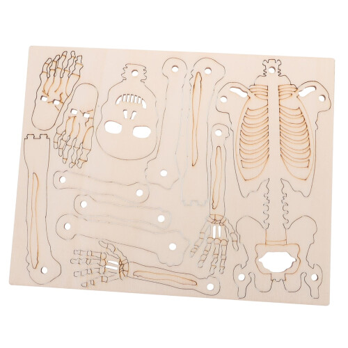 Wooden Human Skeleton Model Kit for HandsOn Anatomy Learning, DIY Educational Assembly Set 2