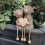 Highlands Kuh-Figuren, Bauernhaus-Dekoration, 5