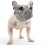 Breathable Mesh Dog Muzzle for Short Snouts Adjustable Fit Black Grey 7