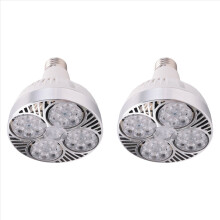 2X E27 Plant Lamp Light Bulb 35W LED Grow Full Spectrum Warm White for