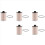 5x Öl-Wasser-Abscheider-Baugruppe B10-AL Zubehörfilter PF10 Element 1