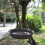 2X Hanging Bird Bath Feeder Round Tray Thickened Resin Deep Water 7