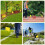 Marking Flags Marker for Lawn 60 Pack, PVC Small Flags,Marking Flags, 4