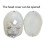 Life Size Human Skull Model with Removable Cap and Full Teeth for Anatomy Study and Teaching 5