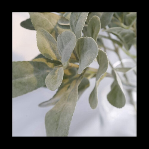 Faux Lambs Ear Stems 10Pcs Flocked Artificial Greenery Solid Fake Leav 1