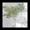 Faux Lambs Ear Stems 10Pcs Flocked Artificial Greenery Solid Fake Leav 4
