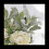Faux Lambs Ear Stems 10Pcs Flocked Artificial Greenery Solid Fake Leav 5