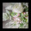 Faux Lambs Ear Stems 10Pcs Flocked Artificial Greenery Solid Fake Leav 6