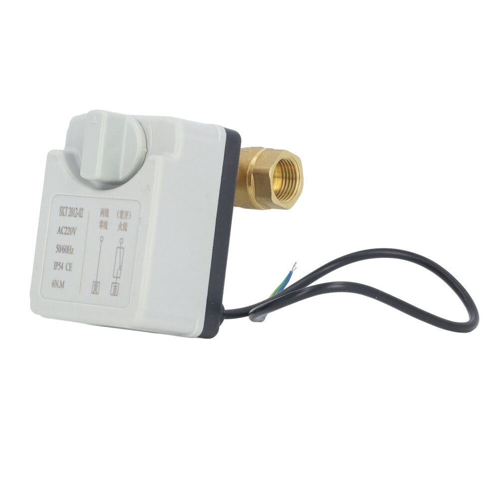 2 Wire Motorized Brass Ball Valve Ip54 1/2In Dn15 Ac220v 8741390160234