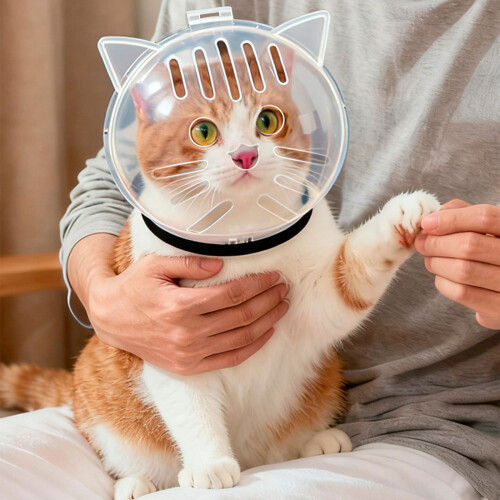 Cats Protective Space Helmets Prevents Bites Scratching-L 2