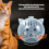 Cats Protective Space Helmets Prevents Bites Scratching-L 6