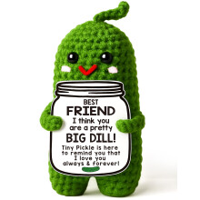 Funny Handmade Crochet Pickle Gift for Friend, Unique Friendship Gag Gift for Women and Coworkers