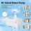 Katzen-Wasserspender mit leiser Pumpe und 2