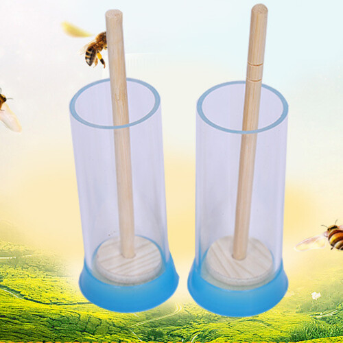 Cage Marqueuse En Bois Multi Usage Protection Et Capture Reine 2