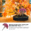 10St Sandtisch Modell Baum Mikro Landschaft 6