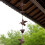 Easyly Install Rain Chain Adjustable Length Rainwater-Blue 2