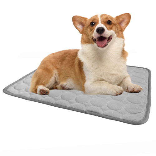 2Pièces Pour Animaux Durable Pour