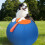 Safe Interactively Large Ball Toy with Zippers Safe-S 2