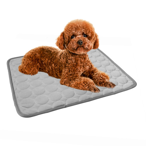2Pièces Pour Animaux Durable Pour 2