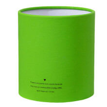 Compacts Paper Flower Bucket Lovely Miniature-green grass