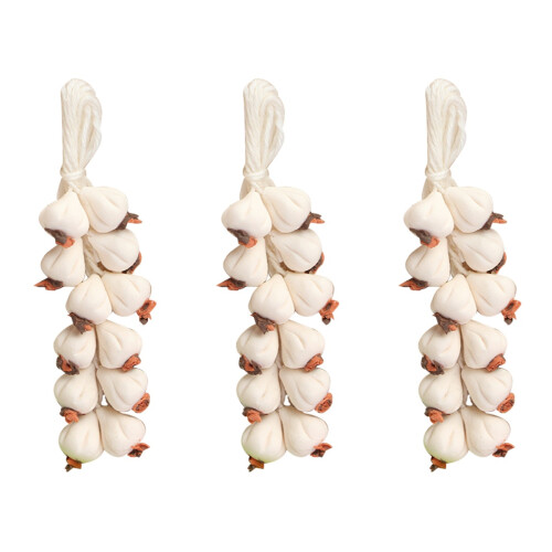 Miniature Ail Décoratif En Résine Clair Pour Maison 2