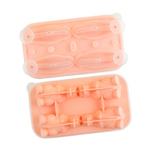 Dinosaurs Themed Ice Cubes Tray For Cocktails Kids Drink-Pink