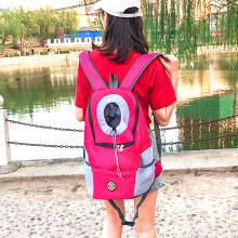 Hund Hund Haustier-Tragetasche Rucksack Klein Mittel Groß Outdoor-Reisebeutel Blau Schwarz Grün