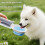 Practical Foldable Pet Dish Feeding Bowl For-blue and white 5