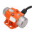 220V 3000RPM Adjustable Vibration Motor 2
