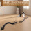 Realistic RC Cobra Snake Toy with Dual Control Modes, USB Fast Charging and Smart Obstacle Sensing 5
