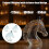 Multifunctional Liquor Storage Container Artistic Horse-350ml 4