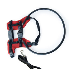 Adjustable Safety Harness For Eye Impaired Pet Includes-Red