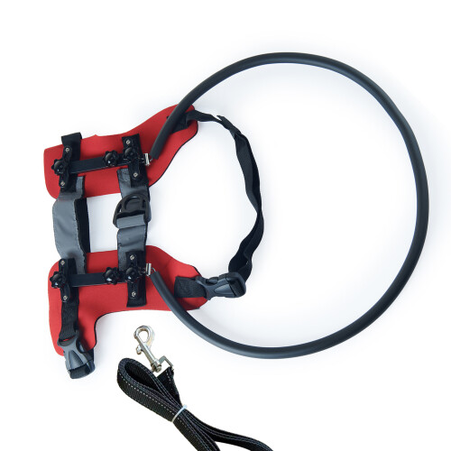 Adjustable Safety Harness For Eye Impaired Pet Includes-Red