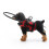Collier de harnais pour animaux de compagnie de taille S,-3ROUGE 1