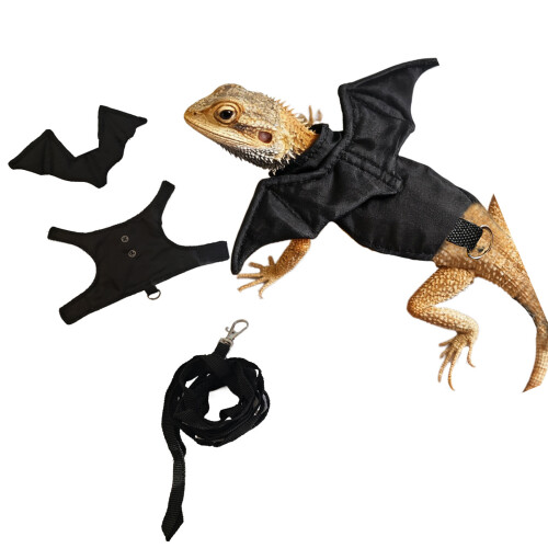 Multiple Lizards Leashes Harnesses Soft Padding Reptiles-Black