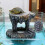 Plate-forme unique de se prélasser de tortues de spirales de 2
