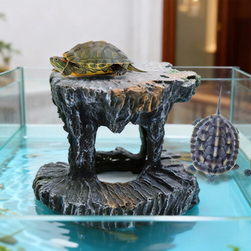 Plate-forme unique de se prélasser de tortues de spirales de 1