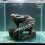 Plate-forme unique de se prélasser de tortues de spirales de 4