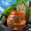 Easy To Use 620ml Drip Irrigation Device Shape Like A Persimmon 2