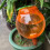 Easy To Use 620ml Drip Irrigation Device Shape Like A Persimmon 4