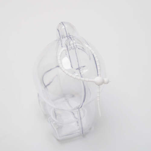 Acrylic Display Case Compatible with Labubu Macaron Doll, Clear Dustproof Protective Shell with Silicone Strap 2
