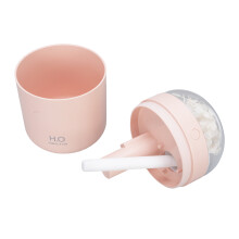 Ewiges Blumen-Befeuchtungsgerät 2W 500ML USB Schreibtischlicht & Nebel