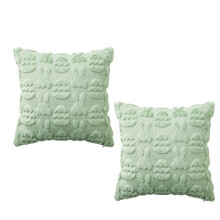 Protecteurs d'oreiller élégants en jacquard-45x45cm Vert Clair