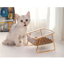 Erhöhter Wasser- und Futternapf für Katze & Hund, 14,414,411 cm, transparenter schräger Rand